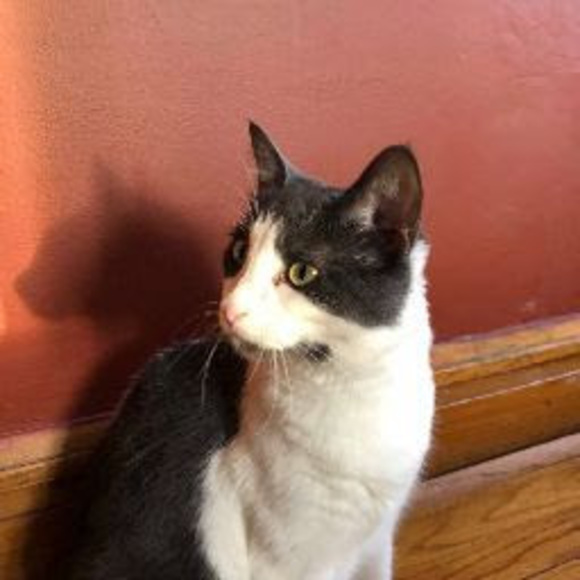 Meet your Posher, Levid - Picture 1 of 1